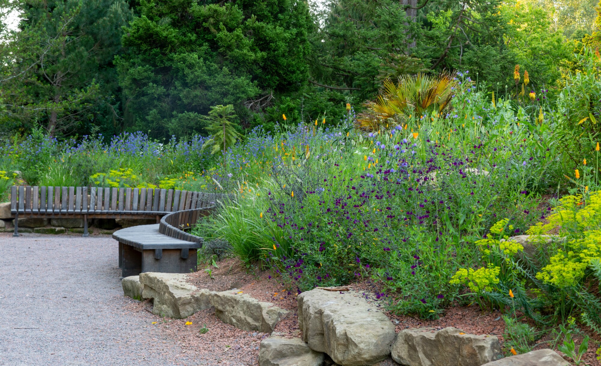 Curved seating beside the gravel path and planted borders at Sheffield Park.