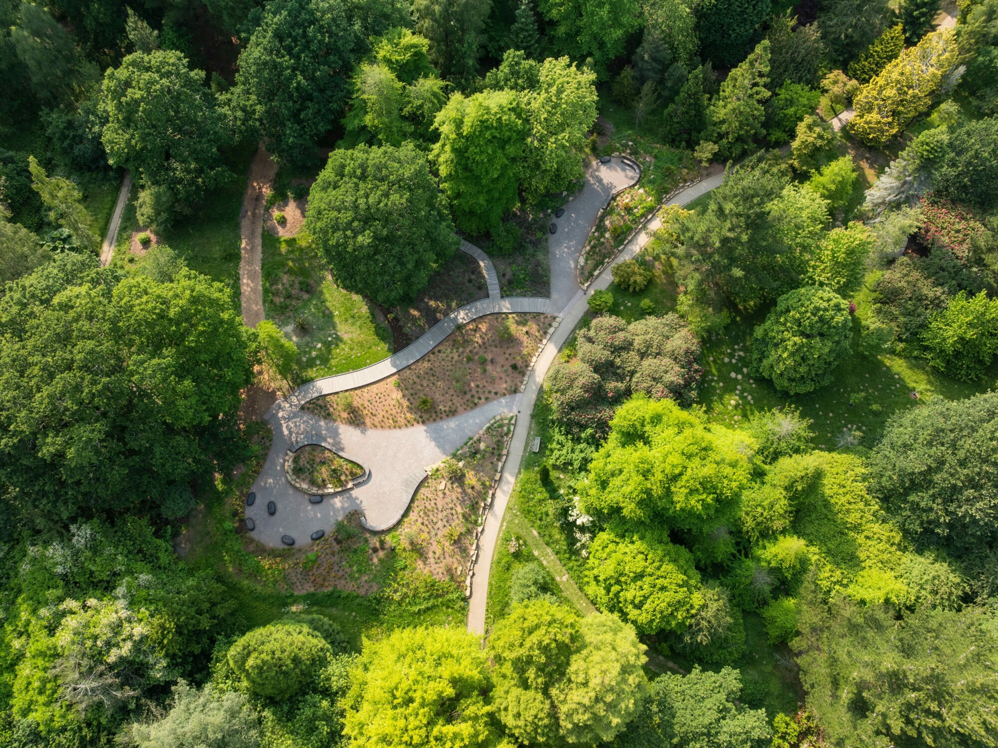 Aerial view of Garden for the Future within Sheffield Park’s established trees.